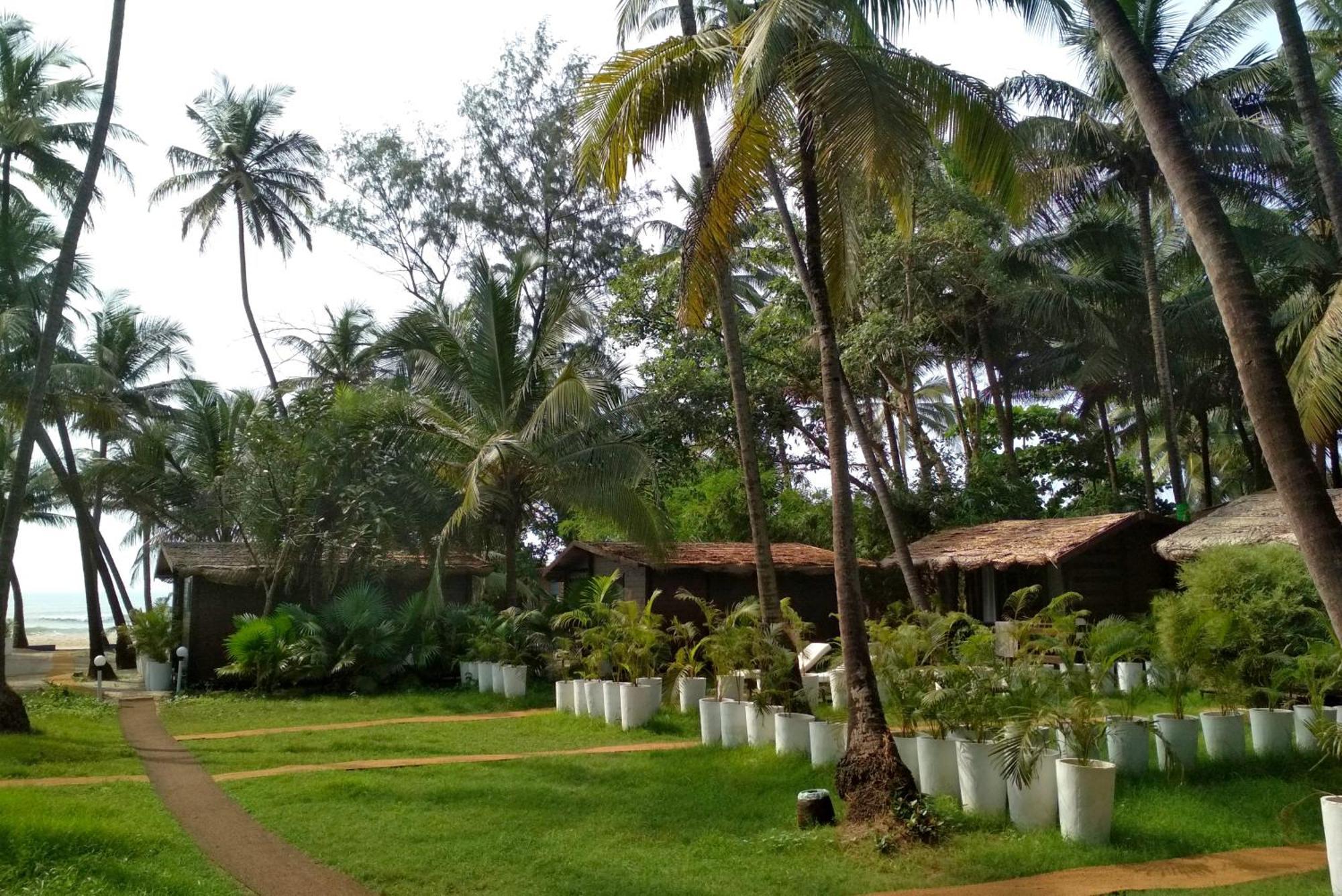 Mamagoa Beach Resort Mandrem Exterior photo
